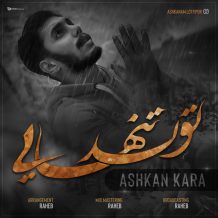 دانلود آهنگ جدید اشکان کارا به نام تولد تنهايي