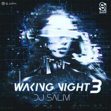 دانلود پادکست جدید دیجی سلیم به نام Waking Night 3