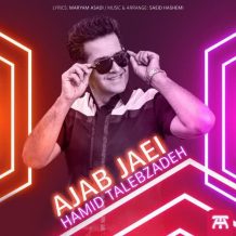 دانلود آهنگ جدید حمید طالب زاده به نام عجب جایی