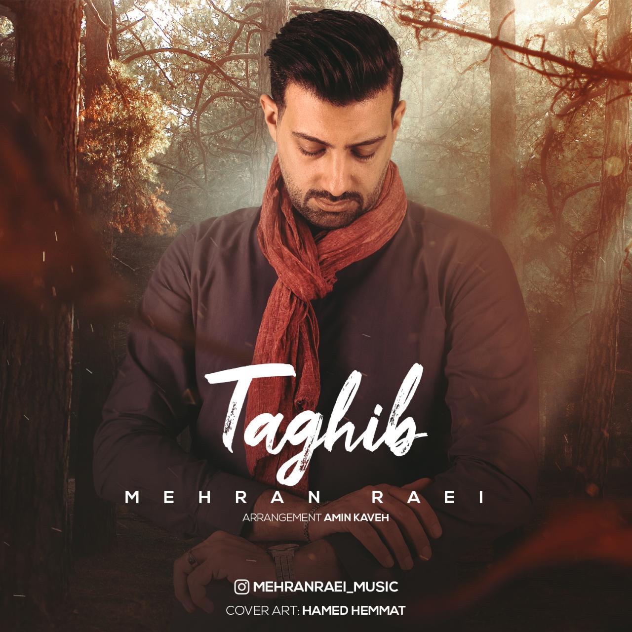 Mehran Raei - Taghib