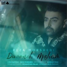 دانلود آهنگ جدید رضا مرشدی به نام دیوونه میشم