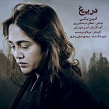 دانلود آهنگ جدید امین بانی به نام دریغ