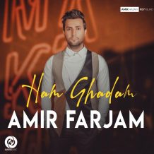 دانلود آهنگ جدید امیر فرجام به نام هم قدم