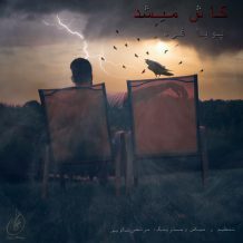 دانلود آهنگ جدید پویا فرد به نام کاش میشد