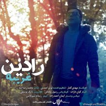 دانلود موزیک ویدئو جدید رادین به نام غریبه