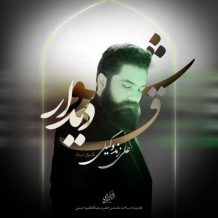 دانلود آهنگ جدید علی زند وکیلی به نام شوق دیدار