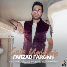 دانلود آهنگ جدید فرزاد فرخ به نام گل مهتاب