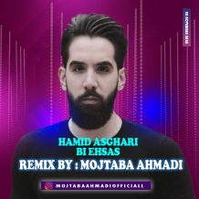 دانلود آهنگ جدید حمید اصغری به نام بی احساس (ریمیکس مجتبی احمدی)