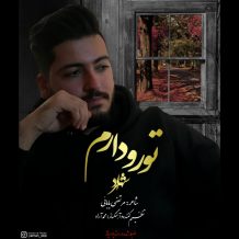 دانلود آهنگ جدید شهراد به نام تورو دارم