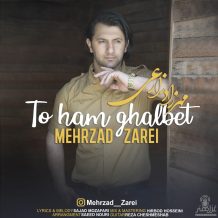 دانلود آهنگ جدید مهرزاد زارعی به نام تو هم قلبت