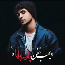 دانلود آهنگ جدید پارسا پایا به نام دیدی