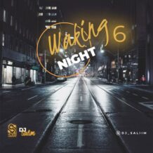 دانلود پادکست جدید دیجی سلیم به نام Waking Night 6