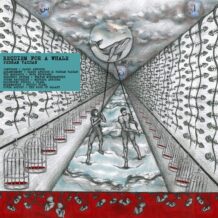 دانلود آلبوم جدید پدرام یزدان به نام مرثیه ای برای یک وال