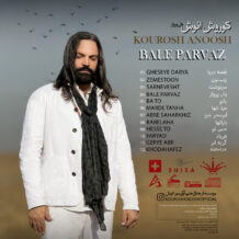 دانلود موزیک ویدیو جدید کوروش انوش به نام قصه ی دریا